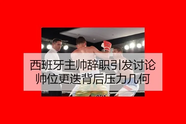 西班牙主帅辞职引发讨论 帅位更迭背后压力几何 | leyu